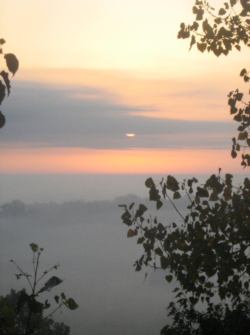 misty evening at the bluff behind my mom's house